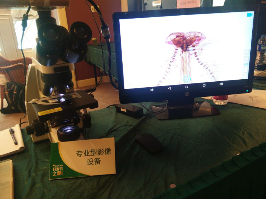 浴室人妻的情欲hd三级
